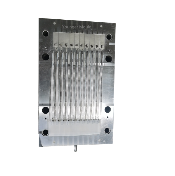 Plastic Injection Mould for Metal Security Drum Anchor Seal